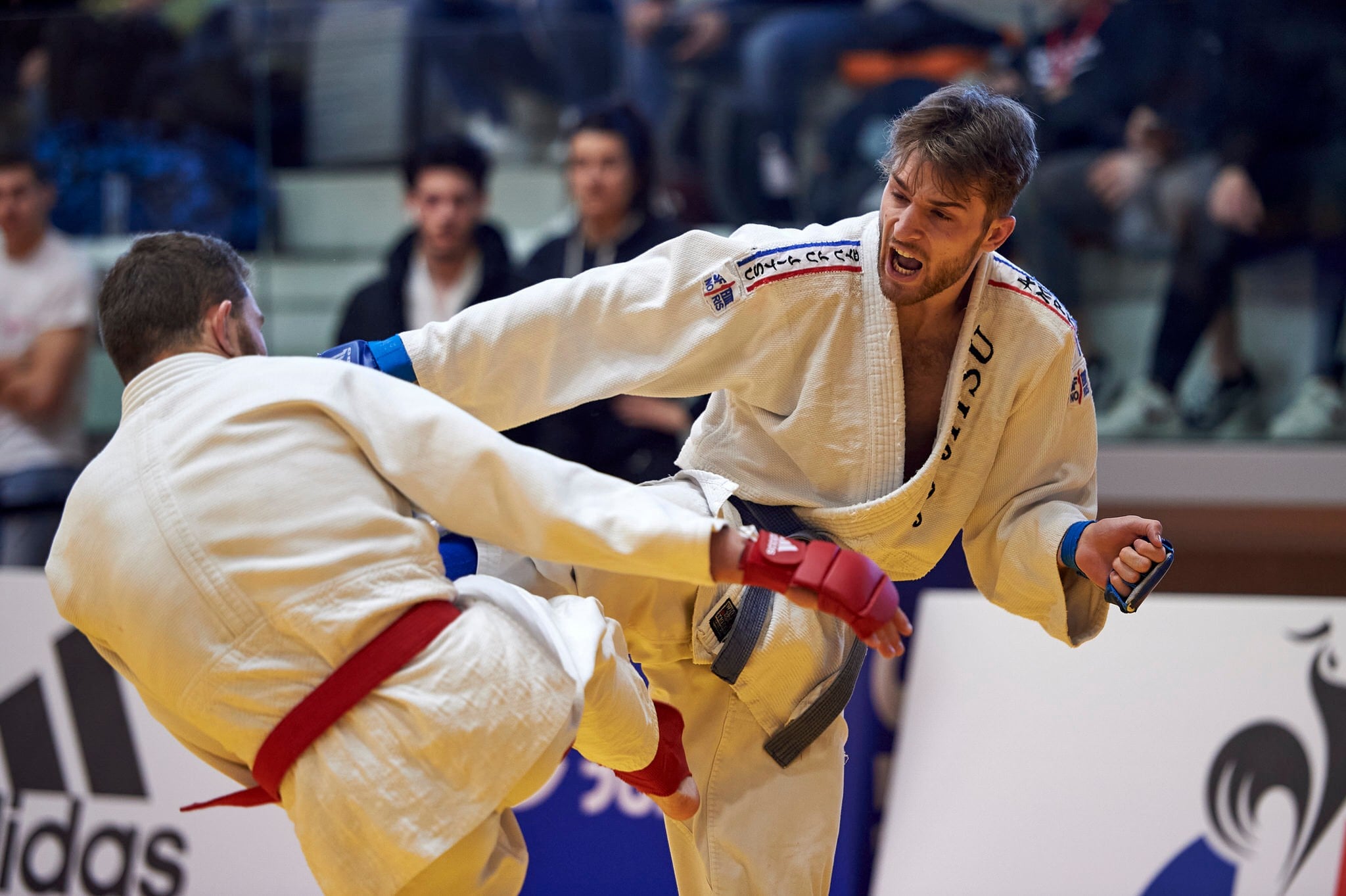 jujitsu image